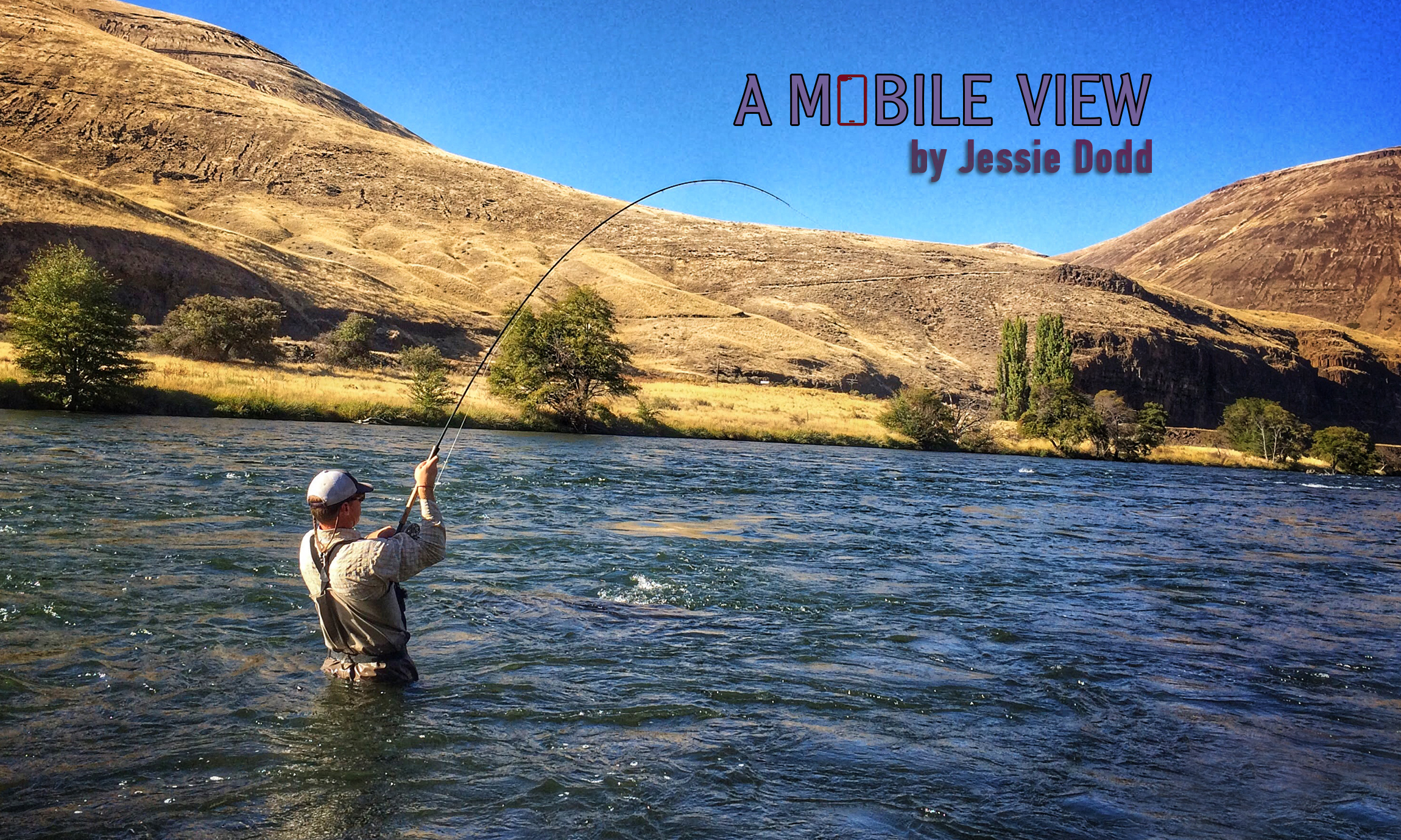 Jessie Dodd A mobile View Deschutes River