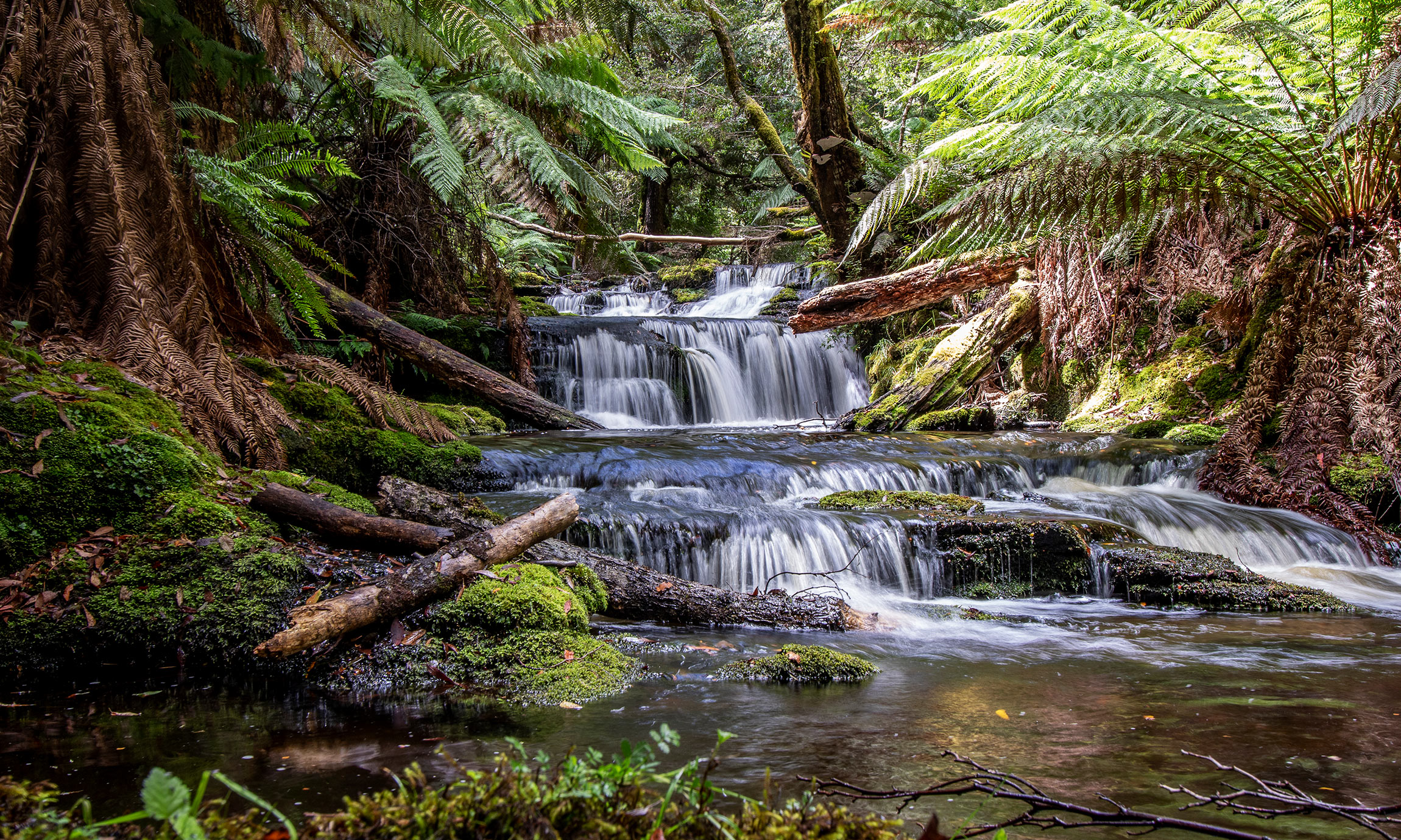 Tasmania Australia Twigwater Catch Magazine