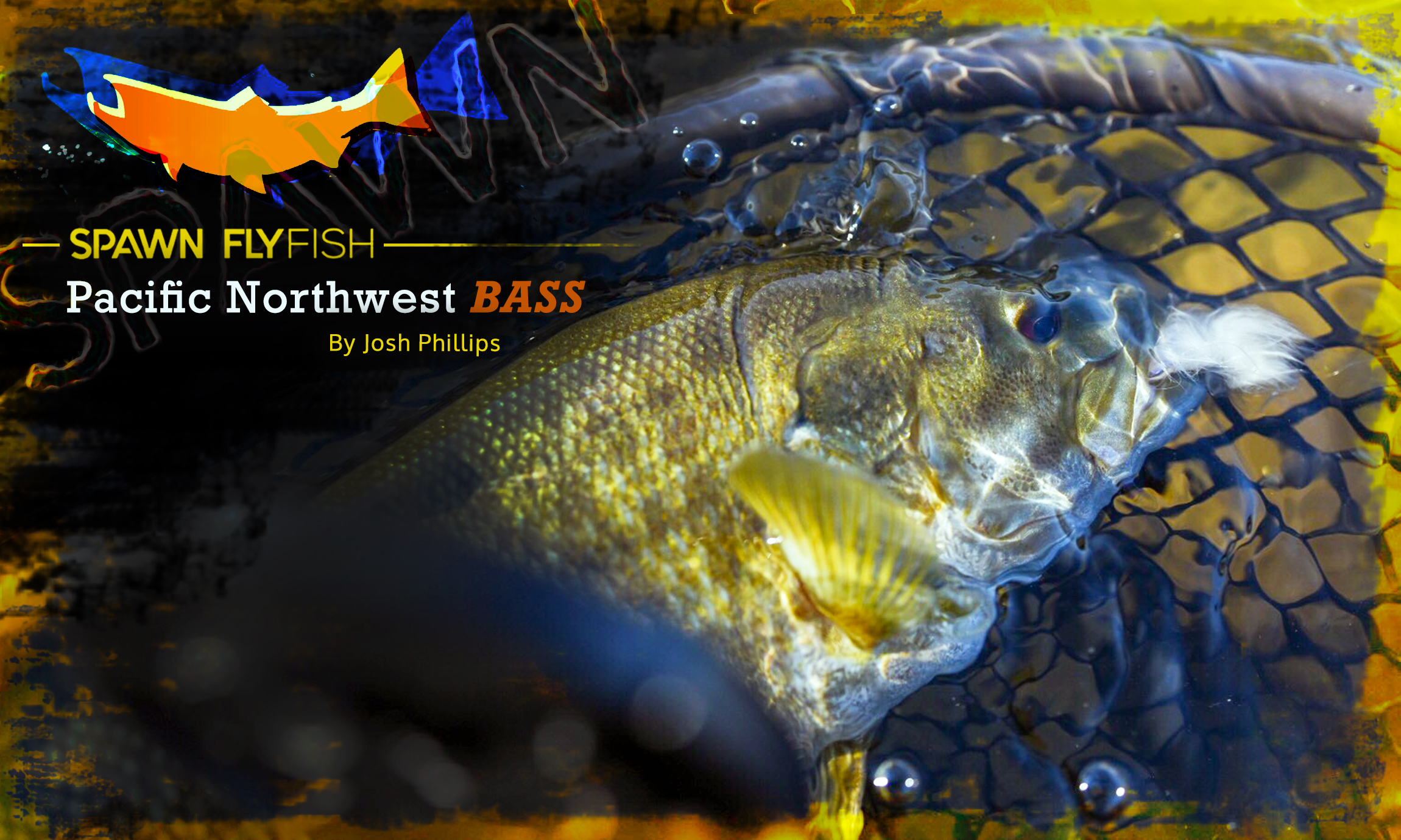Spawn Fly Fish - Pacific Northwest Bass - Catch Magazine