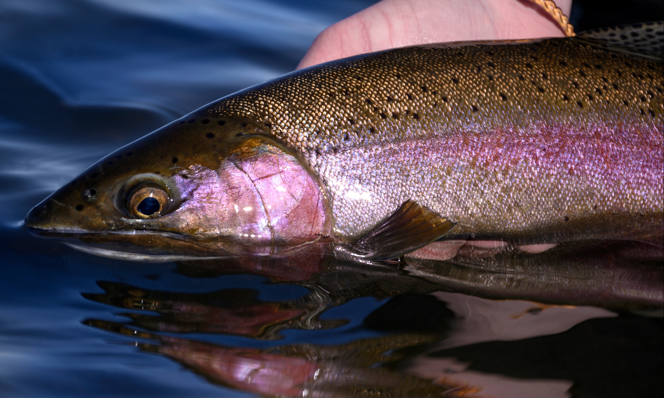 River Therapy - Catch Magazine